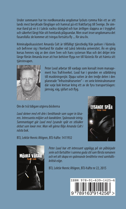 Djupa vatten – Del 3 Serien om Amanda Colt | Svensk Krimbok & Thriller